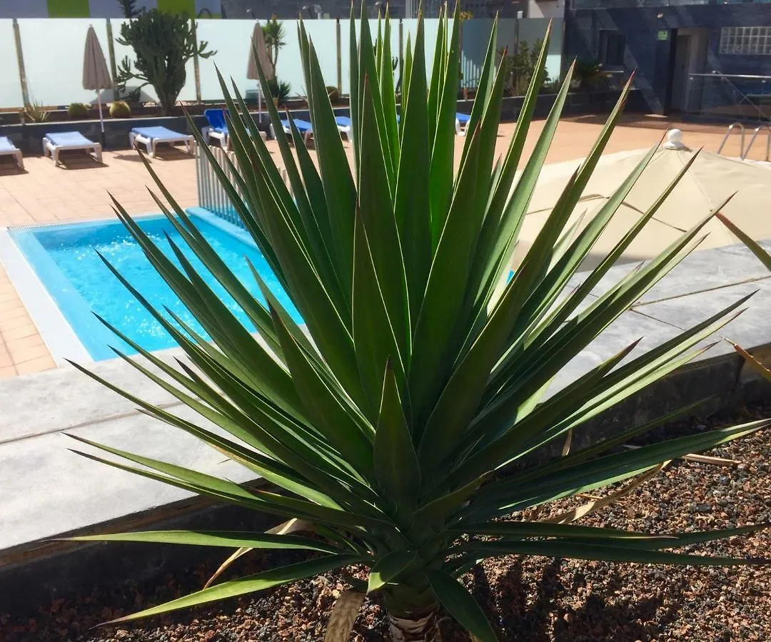 Blue Dream Playa Apartment Corralejo