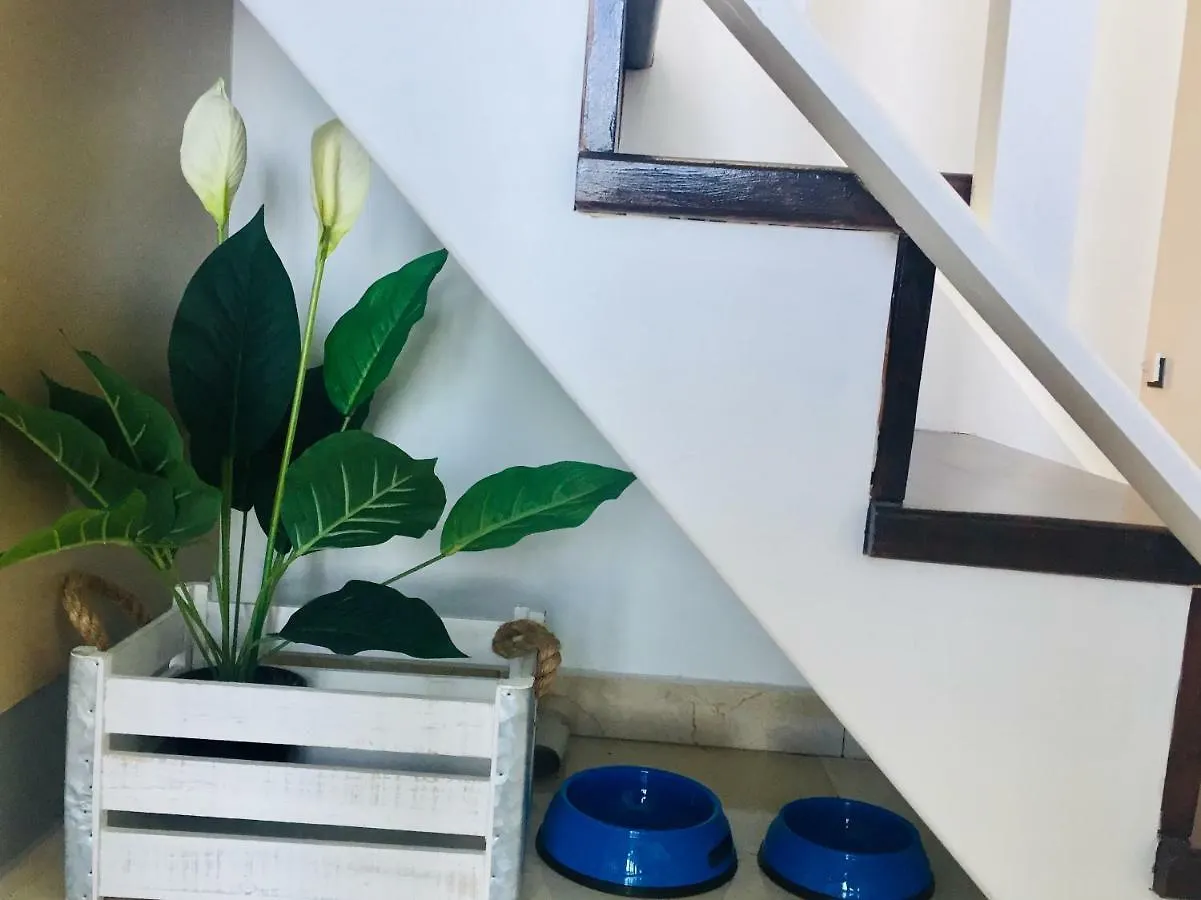 Apartament Blue Dream Playa Corralejo